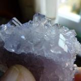 FluoritaEmilio Mine, Obdulia vein, Caravia mining area, La Rubiera, Loroñe, Colunga, Comarca de la Sidra, Principality of Asturias (Asturias), Spain5,5 x 4 cm. (Autor: javier ruiz martin)