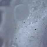 Fluorita
Artenara
1.2 mm cristal (Autor: Jose Bello)
