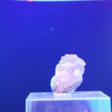 Fluorita
Artenara
3 cm
Bajo UV larga (Autor: Jose Bello)