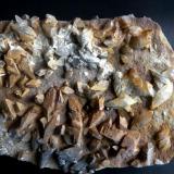 CalcitaSant Bartomeu del Grau, Comarca Osona, Barcelona, Cataluña / Catalunya, España330 x 280 mm. (Autor: Jesus Franquesa Baucells)