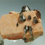 Microcline with Quartz (variety smoky quartz)<br />Mas Sever Quarry, Massabè (Mas Ceber), Sils, Comarca La Selva, Gerona / Girona, Catalonia / Catalunya, Spain<br />5 cm width.<br /> (Author: Joan R.)