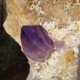 Good single crystal on a bed of druzy quartz. You can see on the right side where another crystal had grown up against it..I wonder where that one is...hmmmm (Author: Jason)