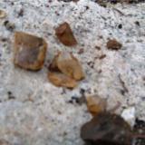 some small clear quartz crystals clearview claim Passmore BC (Author: thecrystalfinder)