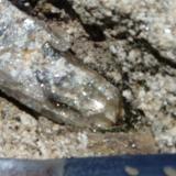 a clear quartz crystal in a freshly exposed pocket in the granite, clearview claim Passmore BC (Author: thecrystalfinder)