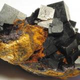 deep black, a bit rough textured Fluorite crystals up to 1 cm, dimensions of the specimen: 4.5 x 3 x 2.5 cm, Auf der Krönung Stehender vein, 10000 Ritter Mine, Frohnau (Author: Thomas Uhlig)