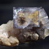 rare yellow-blue  Fluorite crystals up to 1.3 cm on Quartz, Frohnau (Author: Thomas Uhlig)