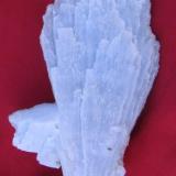 Anhydrite crystal 12 cm long. Naica Mine (Author: Peter Megaw)