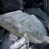 Giant gypsum crystal from Naica Mine (Author: Peter Megaw)