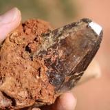 We settled in at the lowest part of the construction site, a small bit of mica on the top layer of dirt prompted me to scrape the surface in search of a fissure beneath.
Clank!  My mattock scraped and ricocheted off of a large quartz filled fissure about 10cm in width.  Further, scraping revealed the length of the fissure at roughly one
meter.  Excited, I commenced to excavating the fissure.  Through the
whole length of the fissure I found mainly garbage quartz until out of nowhere this crystal (above) popped out next to the mattock.  Words can&rsquo;t explain how it feels to find something this rare and beautiful, so I will have to leave it to you and your own experiences to relate. (Author: Scott LaBorde)