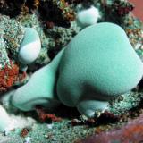 close up of malachite blob (Author: Peter Megaw)
