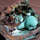 Malachite in gossan  cabinet (Author: Peter Megaw)