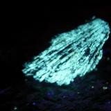 Tremolite sw uv (Author: Glenn Rhein)