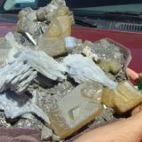 Anhydrite on Calcite and fluorite
Mantos Mixtos, 700-760 Level Naica Mine, Naica, Chihuahua, Mexico
30 cm
Massive plate of golden calcite crystals (on smaller fluorite) with 10 cm anhydrite crystals.  (Brother to a piece posted earlier by javmex).  Piece now in collection of New Mexico Tech (Author: Peter Megaw)