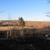 Looking NW from the bench (Author: vic rzonca)