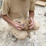 Mark Randle with nice amethyst specimen also covered by mud. (Author: John S. White)