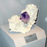 A very fine example of the amethyst from Jacksons Crossroads on display at the Tellus Museum in Georgia (Author: John S. White)