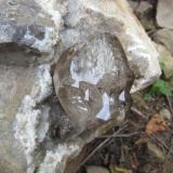 15 cm. quartz on dolostone, freshly mined with a quick cleaning. (Author: vic rzonca)