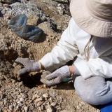 Quartz
Western Cape, Ceres
n/a
Close up of Riana in action (Author: Pierre Joubert)