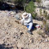 Quartz
Western Cape, Ceres
n/a
Riana found her own pocket of Quartz crystals and spent hours, carefully cleaning it out. (Author: Pierre Joubert)