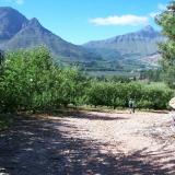 Apple farm, Villiersdorp (Author: Pierre Joubert)