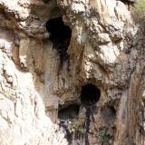 Small caves full of quartz crystals, but out of reach.  Robertson, WC. (Author: Pierre Joubert)