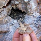 A beautiful little quartz cluster with the small pocket it came from.  Near Robertson, WC. (Author: Pierre Joubert)