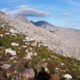 Exploring a manganese rich area near Gordons Bay, Western Cape, I was met by this scene high up in the mountains. (Author: Pierre Joubert)