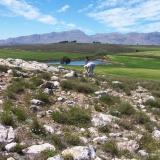 A view from one of the many properties where we collect.  Notice the quartz outcrop. (Author: Pierre Joubert)