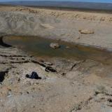 A natural pool (one of two) formed in the quarry after the rain. (Author: Pierre Joubert)