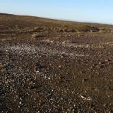 A quartz reef exposed and weathered. (Author: Pierre Joubert)