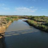 The semi-desert had some good rain. (Author: Pierre Joubert)