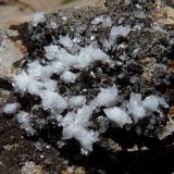 Calcite on shale
Western Cape, South Africa
65 x 47 mm (Author: Pierre Joubert)