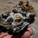 Calcite
Western Cape, South Africa
fingers for scale (Author: Pierre Joubert)