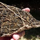 Basalt? with veins of quartz
Western Cape, South Africa
180 x 150 mm (Author: Pierre Joubert)