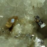 Aeschynite-(Y) Monazite-(Ce)
Hopffeldboden, Sbg, Austria
aeschynite 0.6 mm
Photo Enrico Bonacina
Collection Domenico Preite (Author: domenico)