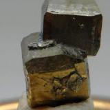 Pirita
Mina Francisco I. Madero, Municipio Zacatecas, Zacatecas, México
0.8 cm x1.1 cm x 1.2 cm (Autor: williams antonio pulido)