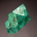 Fluorite
Riemvasmaak, Northern Cape Prov., South Africa
5.3 x 5.8 cm.
An intergrown group of sharply-formed green octahedral crystals to 3.2 cm. on edge from the find in 2005. (Author: crosstimber)
