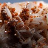 Vanadinite on Baryte.
ACF area, Mibladen, Midelt,  Morocco.
FOV 15 x 10 mm approx. (Author: nurbo)