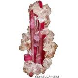 Tourmaline (Autor: Félix Estrella)