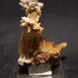 Pyrite, Quartz and Calcite
Idorado Mine, Ouray, Colorado, USA
8 x 6 x 4.3 cm (Author: Don Lum)