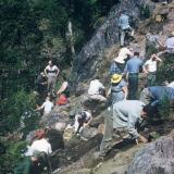 Franklin club field trip around 1967
Noble pit - Sterling Hill,  Ogdensburg, NJ
My hammer was stolen on this trip, but I still found a floater jeffersonite and a decent franklinite crystal.  Many of my early pictures have not been converted to digital form.  I’m working on that.  (This picture appeared on the cover of the Franklin "Picking Table" a few years back) (Author: John Medici)