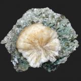 Stilbite and heulandite
Trap Rock Industries Moores Station Quarry, Hopewell, Mercer County, New Jersey, USA
5.5 x 5.4 cm
A 3 cm stilbite wheel  with micro heulandite crystals (Author: Frank Imbriacco)