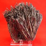 Stibnite
Rumania
14.7 x 10 x 13 cm (Author: Don Lum)