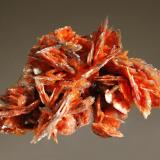 Barite
Baia Sprie, Maramures, Romania
3.7 x 5.4 cm.
Finely-bladed barite crystals included with realgar and jamesonite that impart a reddish-orange and gray coloration to the specimen. Mined in 2002. (Author: crosstimber)