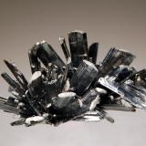 Stibnite
Baia Sprie, Maramures, Romania
4.3 x 5.5 cm.
A divergent cluster of steel gray, striated crystals with low angle terminations. The label that came with this specimen attributed its location to the IPEG mine. While there is no documented mention of this mine in the literature, there were numerous shafts that exploited the large orebody at Baia Sprie, and one of these may have been worked by an exploration company named IPEG which apparently stands for "Intreprinderea de Prospectiuni si Explorari Geologice." (Author: crosstimber)