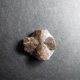 Estaurolita
Montes Keivy, Península Kola, Rusia
1’1 x 1 cm.
Una pequeña macla ortogonal con algunos restos de la matriz de micaesquisto de una localidad clásica. (Autor: prcantos)
