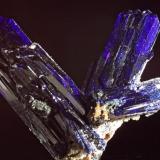 Azurite
Tsumeb, Namibia
2.5 cm largest  crystal (Author: Herman van Dennebroek)