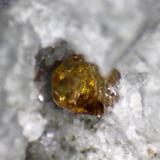 Titanite
Cehegín, Murcia, Spain
Photo width is 5mm
 (Author: crocoite)