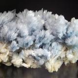 Barite
Cavnic, Maramures, Romania
5.1 x 8.7 cm.
Lustrous pale blue bladed barite crystals on light tan barite. (Author: crosstimber)