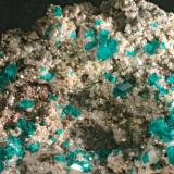 Dioptase on dolomite
Tsumeb, Namibia
f.o.v. 3 cm
small but very sharp crystals (Author: Herman van Dennebroek)